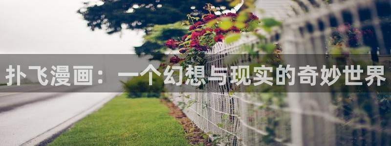 汗汗漫画――歪歪漫画51：扑飞漫画：一个幻想与现实的奇妙世界