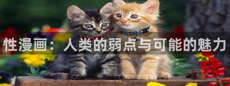 汗汗漫画秘密教学：性漫画：人类的弱点与可能的魅力