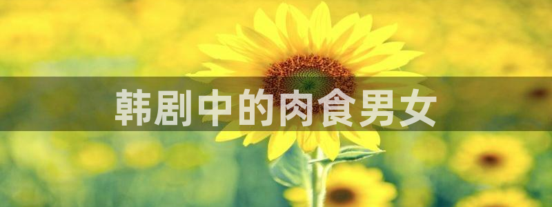 汗汗漫画免费无遮掩免费：韩剧中的肉食男女