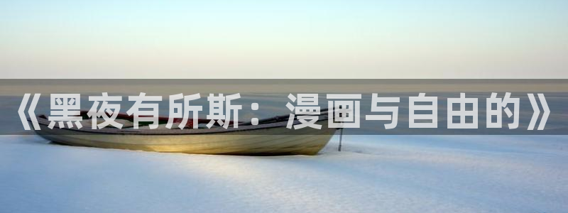 汗汗漫画私密教学：《黑夜有所斯：漫画与自由的》