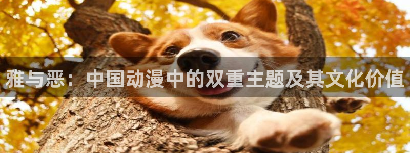 汗汗漫画免费看网站：雅与恶：中国动漫中的双重主题及其文化价值
